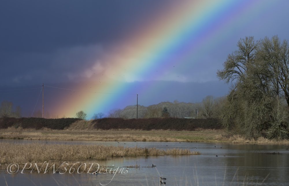 NoraJ and Robbie Rob